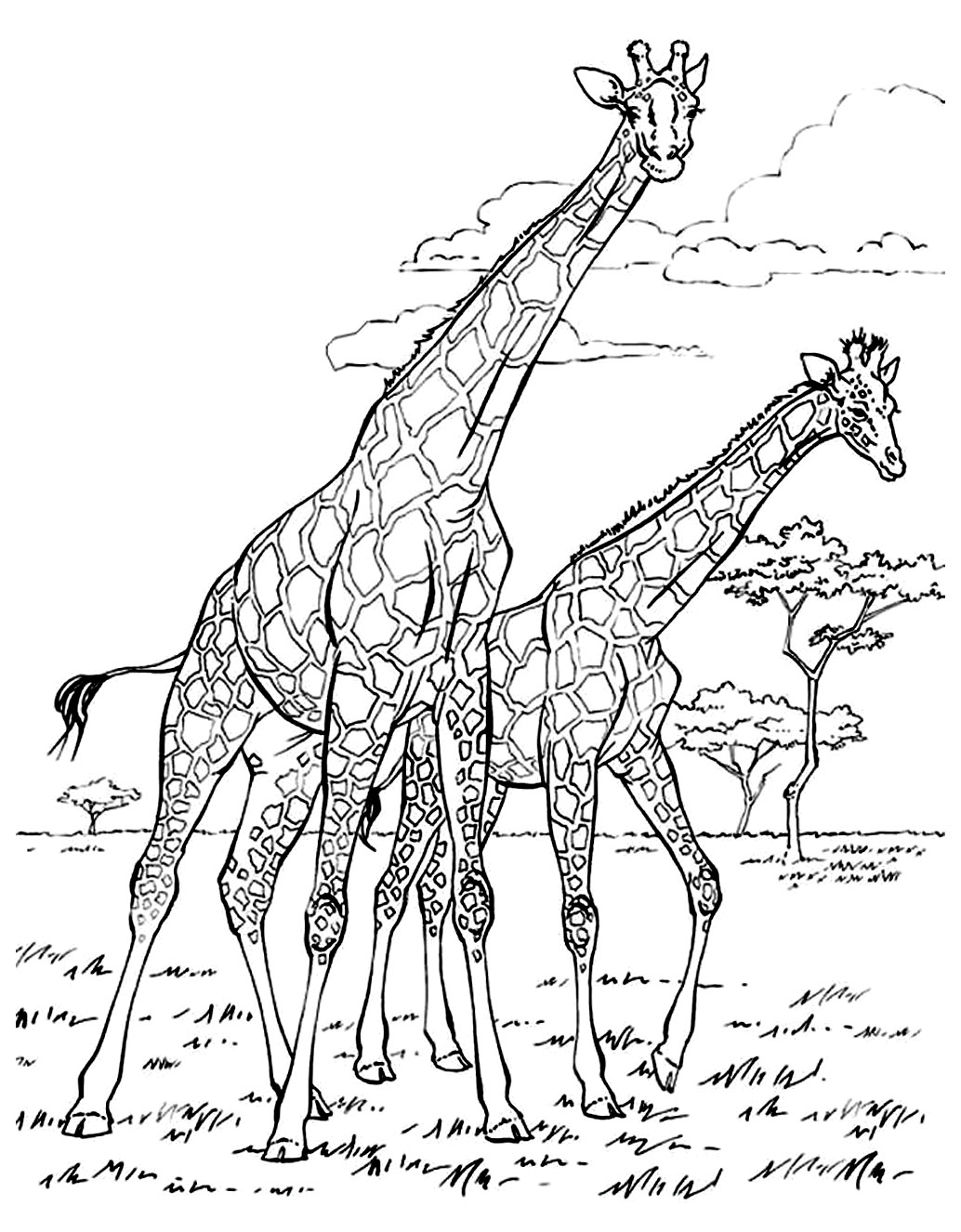 image=afrique coloriage afrique girafes 1
