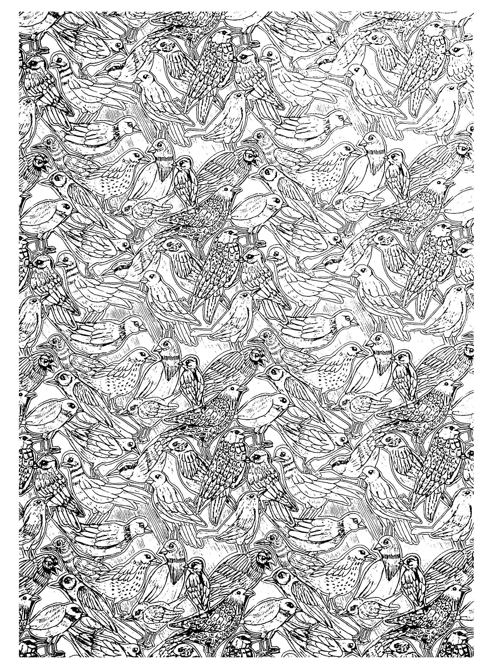 image=animaux coloriage adulte oiseaux 1