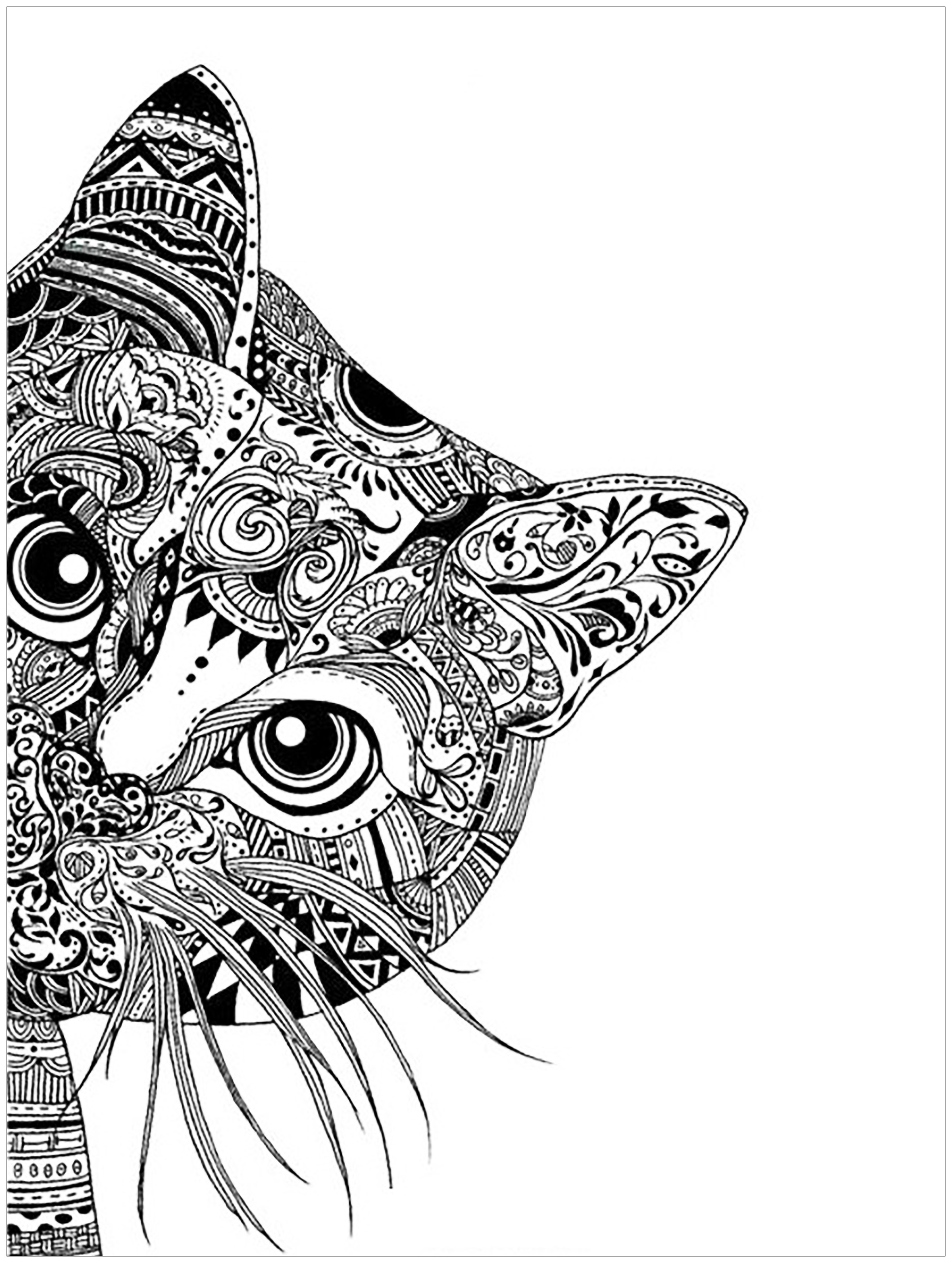 Animaux Coloriages difficiles pour adultes coloriage image=animaux coloriage adulte tete de chat 1