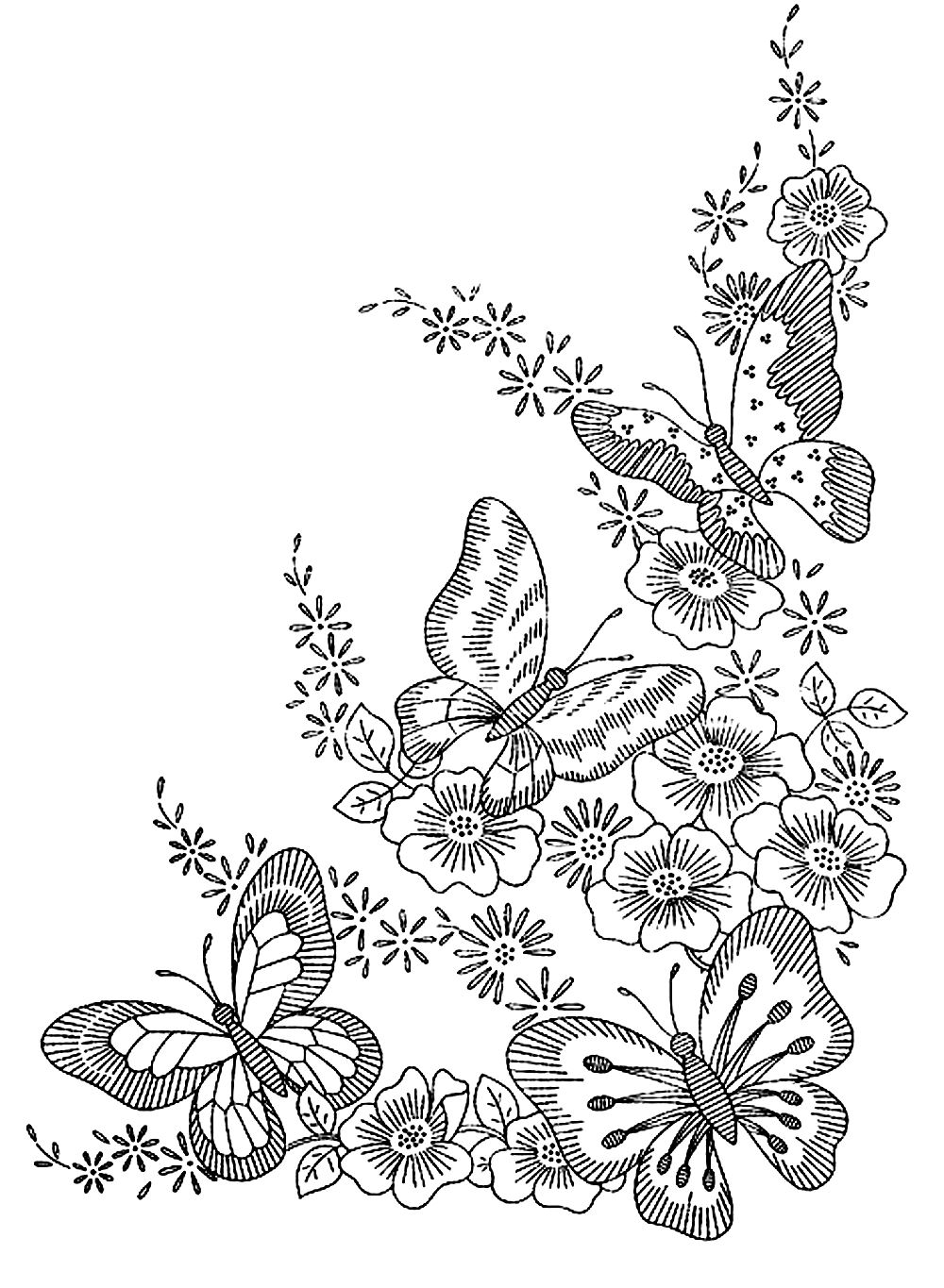 1 image=insectes coloriage adulte difficile papillons 1