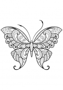 coloriage-papillon-jolis-motifs-12