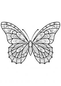 Papillon aux jolis motifs à colorier