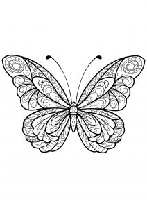 coloriage-papillon-jolis-motifs-5