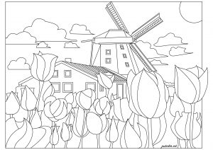 Pays-Bas : moulin et tulipes
