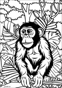 Chimpanzé dans la jungle